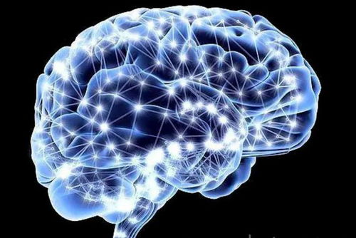 业余初段的传奇 技术如何将普通人名字镌刻在围棋史册